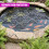 GEEZY GEEZY 20 Piece Pond & Fish Guard Protector Plastic Floating Net Rings Protective Cover 6