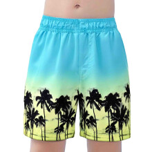 Boys Swim Trunks Size 7-8 Cartoon Dinosaur Print Swim Shorts Bathing Suit Elastic Waistband Casual Summer Beach Vacation Shorts Sky Blue