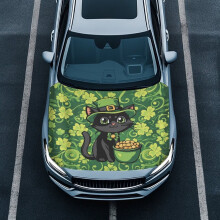 Black Cat Hood Cover with Gold Coin and Clover Design