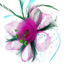 Pălărie Fascinator Vintage cu Panglică de Plasă și Pene