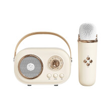 Mini Karaoke-maskin med mikrofonset – Bärbar Bluetooth-högtalare, Retro handhållen, för inomhus-/utomhusbruk, jul- och heminredning