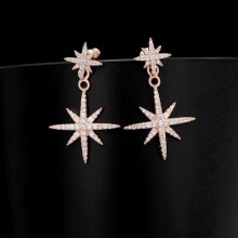 925 Sterling Silver Stud Earrings Birth Cubic Zircon Fashion Jewelry For Women