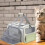 Pet Cats Carriers Bag Big Capacity Backpack-Gray green 4