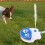 Automatic Pet Drinking Device Foot Press Functioning 2