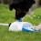 Automatic Pet Drinking Device Foot Press Functioning 6