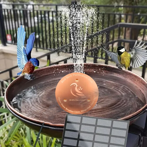 2PCS Clear Bronze Dishes for Bird Baths Gentle on-2 packs 2
