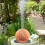 2PCS Clear Bronze Dishes for Bird Baths Gentle on-2 packs 7