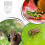 Acrylic Reptiles Enclosure LeakProof Lid Airflows Holes Secure 2