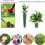 10 Objects Additional Plant Encloses for Security- Green 2