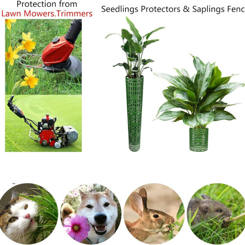 10 Objects Additional Plant Encloses for Security- Green 1
