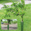 10 Objects Additional Plant Encloses for Security- Green 4