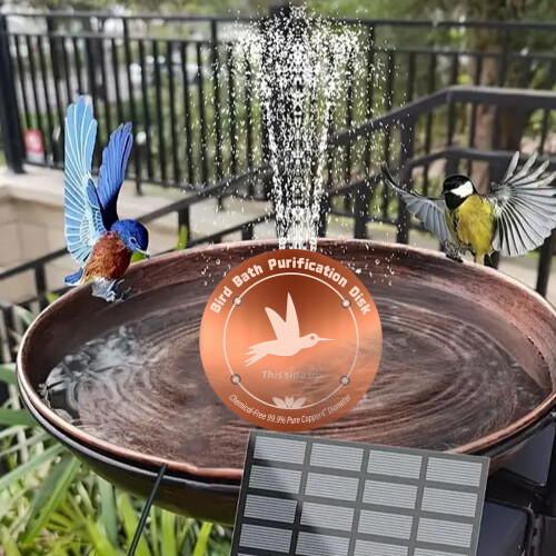 Metal Bird Bath Cleaner Plate 4 Point Support Design-2 packs 2