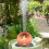 Metal Bird Bath Cleaner Plate 4 Point Support Design-2 packs 7