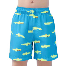 Boys Swim Trunks Size 3T-4T Cartoon Dinosaur Print Swim Shorts Bathing Suit Elastic Waistband Casual Summer Beach Vacation Shorts X01-Light Blue