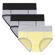 Women's Cotton Menstrual Period Underwear Leak-Proof Briefs