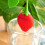Silicone Strawberry Design Loose Tea Leaf Strainer Herbal Spice Infuser Filter 5