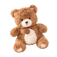 2026 New AI Smart Companion Teddy Bear Interactive Voice Chat Plush Robot Toy Advanced Sensory Learning Toy fo