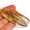Jasper Cicada Pendant Necklace Adjustable 6