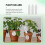 Étiquettes réutilisables PVC pour plantes, 100 pièces 2