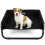 Small Elevated Dog Bed with Raised Sides 5