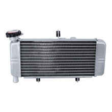Radiatore di Raffreddamento per Motocicletta, Sistema di Raffreddamento del Serbatoio 'Acqua per CBR300R CBR250 2011-2020