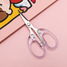 Transparent Small Scissors, Stainless Steel Blades, Plastic Handle, Safety Rounded Tip – Compatible with Student Craft & Office Stationery
