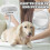 Sèche-Cheveux Brosse Animaux 3 Modes Séchage Faible Bruit 4