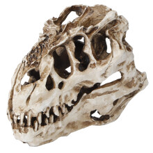 Hartsidinosauruskallokoriste Halloween-koriste 15 x 10,6 x 8 cm