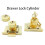 Tooloflife Drawer Lock with Keys Copper Gold Large Core 1