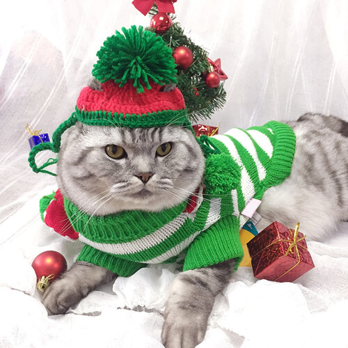 Christmas Striped Cat Sweater Soft Warm Stretch Knit 2