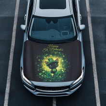 Autohoes met kattenprint voor St. Patrick's Day – Elastisch, ademend, geschikt voor de meeste auto's, SUV's, vrachtwagens en pick-ups.