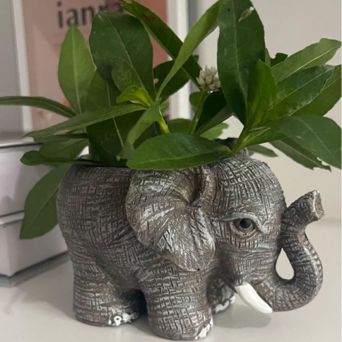 Pot de fleurs éléphant en terre cuite, pot éléphant en résine 1
