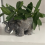 Pot de fleurs éléphant en terre cuite, pot éléphant en résine 5