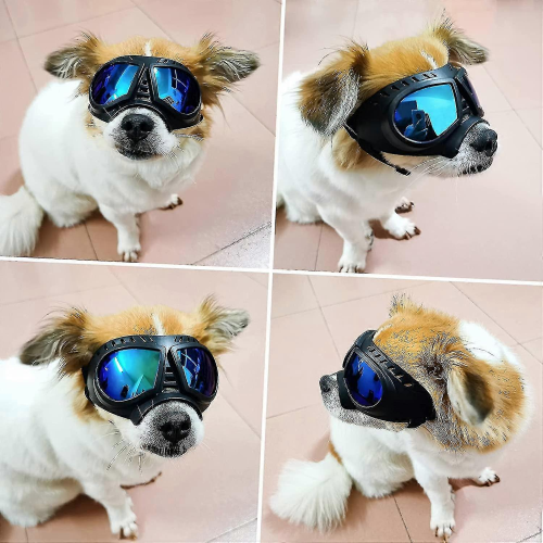 2023 – Hundebrille, Augenschutz, UV-Schutz, winddicht, verstellbar 2
