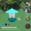 Hanging Bird Feeder Waterproof 820ml 5