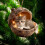 Karácsonyi akril díszek aranyos állatmintával 12 db 1