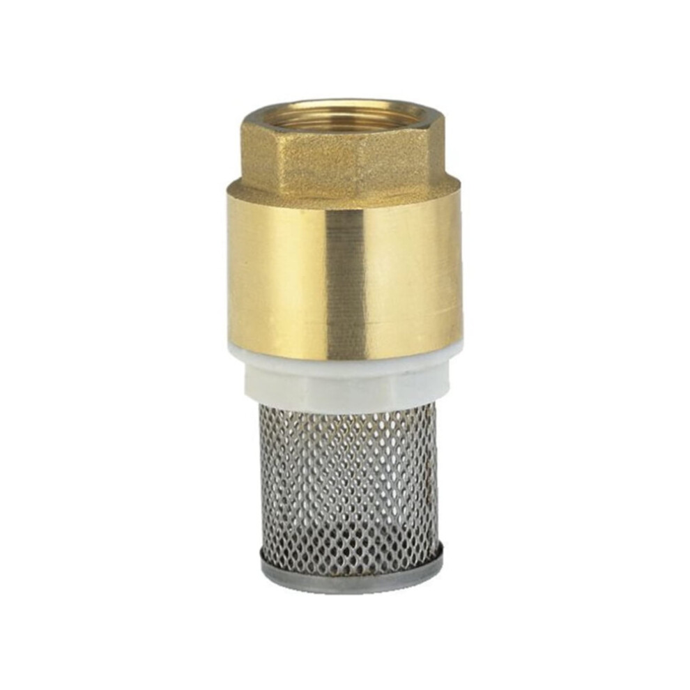 Brass Vertical Check Valve 1/2 Inch With Strainer 9023022336163