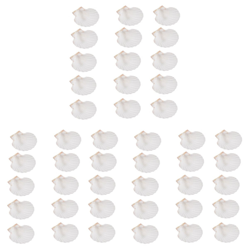 45 Pcs Natural Sea Shell Large White, 4-4.7 Inch Scallop Shells For Di 4852426871964