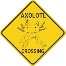 Metallschild „Axolotl-Überquerung“, 30 x 30 cm, Dekorative Wanddekoration