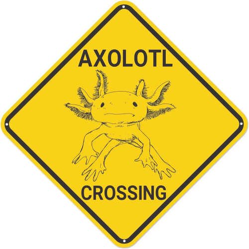 Placa decorativa de parede em metal com a travessia de axolotes, 30x30cm (12x12 polegadas).