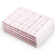 Xuan Paper for Calligraphy Practice 100 Sheets 6cm Grid 15