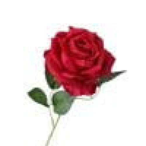 Rose artificiali in lana e seta, 12 pezzi