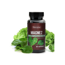 Skoczylas MAGNEZ 60 Capsules