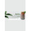 EkaMedica Spirulina 60 Capsules 2