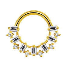 Nasenring aus Titan mit Mikrozirkonia und Scharnierverschluss, Unisex