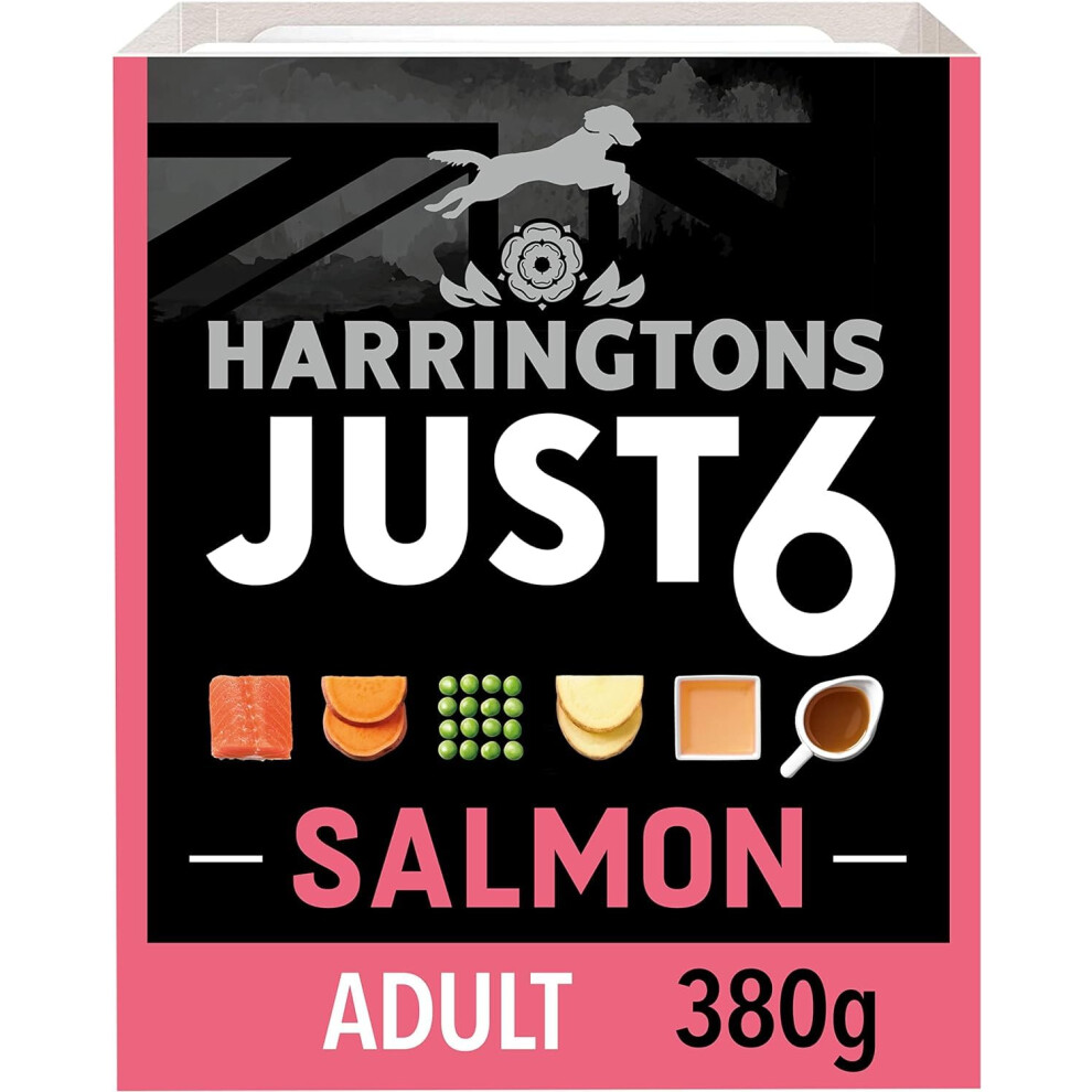 Photos - Dog Food Harringtons Just 6 Complete Grain Free Wet Adult  Salmon 380g (Pack of 8 