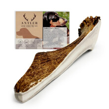 Antler Chew - XL Elk/Moose Split Antler for Dogs (180-240g, from 15cm) Indestructible Toy and Natural, Long-Lasting Treats for Dental Health