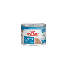 Royal Canin Mini Starter Complete Wet Food for Mother & Babydog 12 x 195g