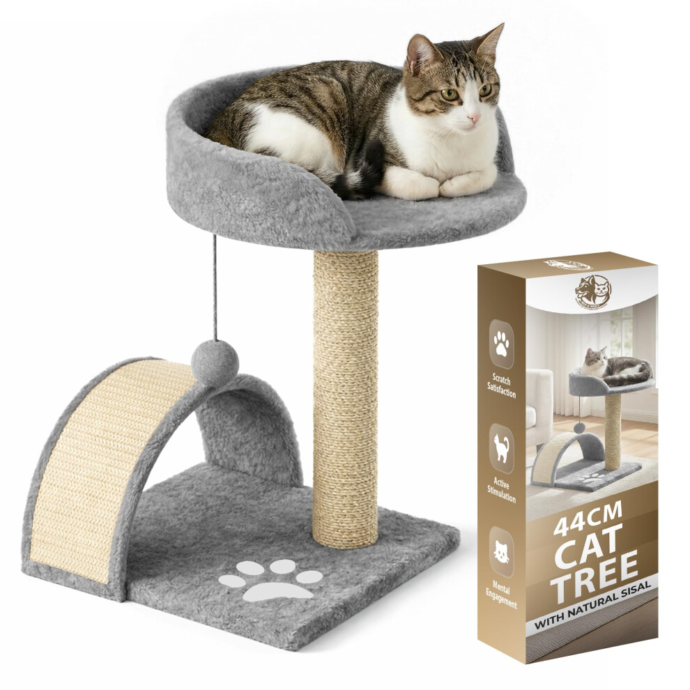 Rex & Roxy Cat Tree 44Cm | Cat Scratch Post | Scratching Posts For Indoor Cats | Kitten Scratcher Post | Stable Climbing Tower With Scratchi