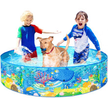 152cm Foldable Outdoor Paddling Pool